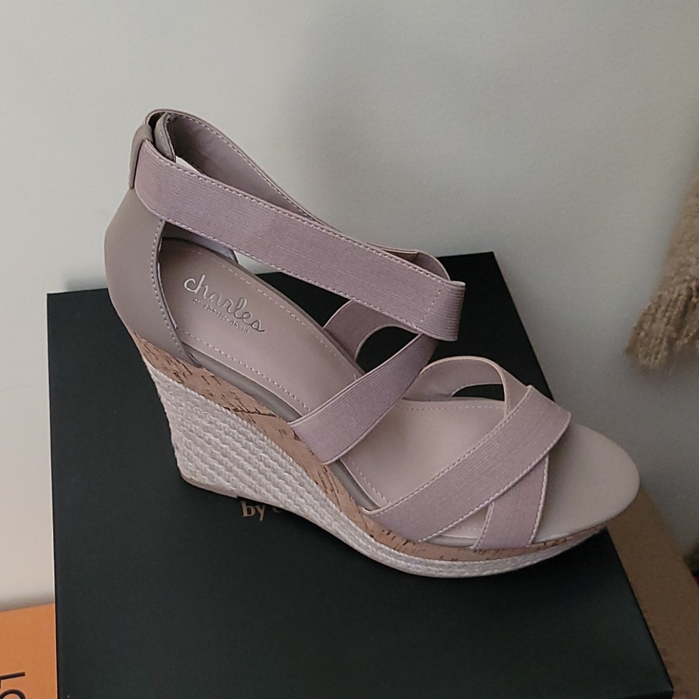 Platform Sandal (never worn)